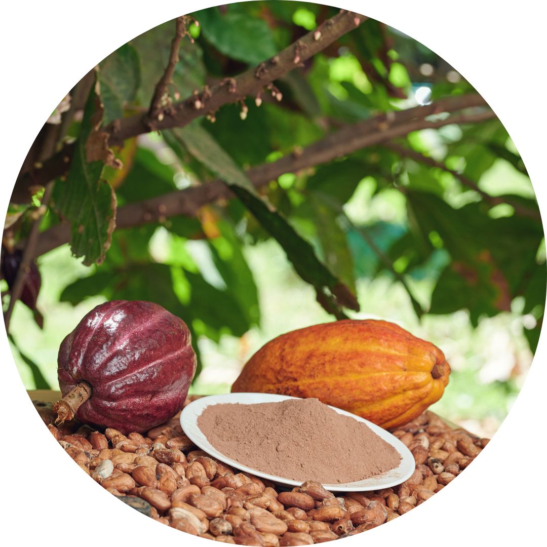 Cacao pods