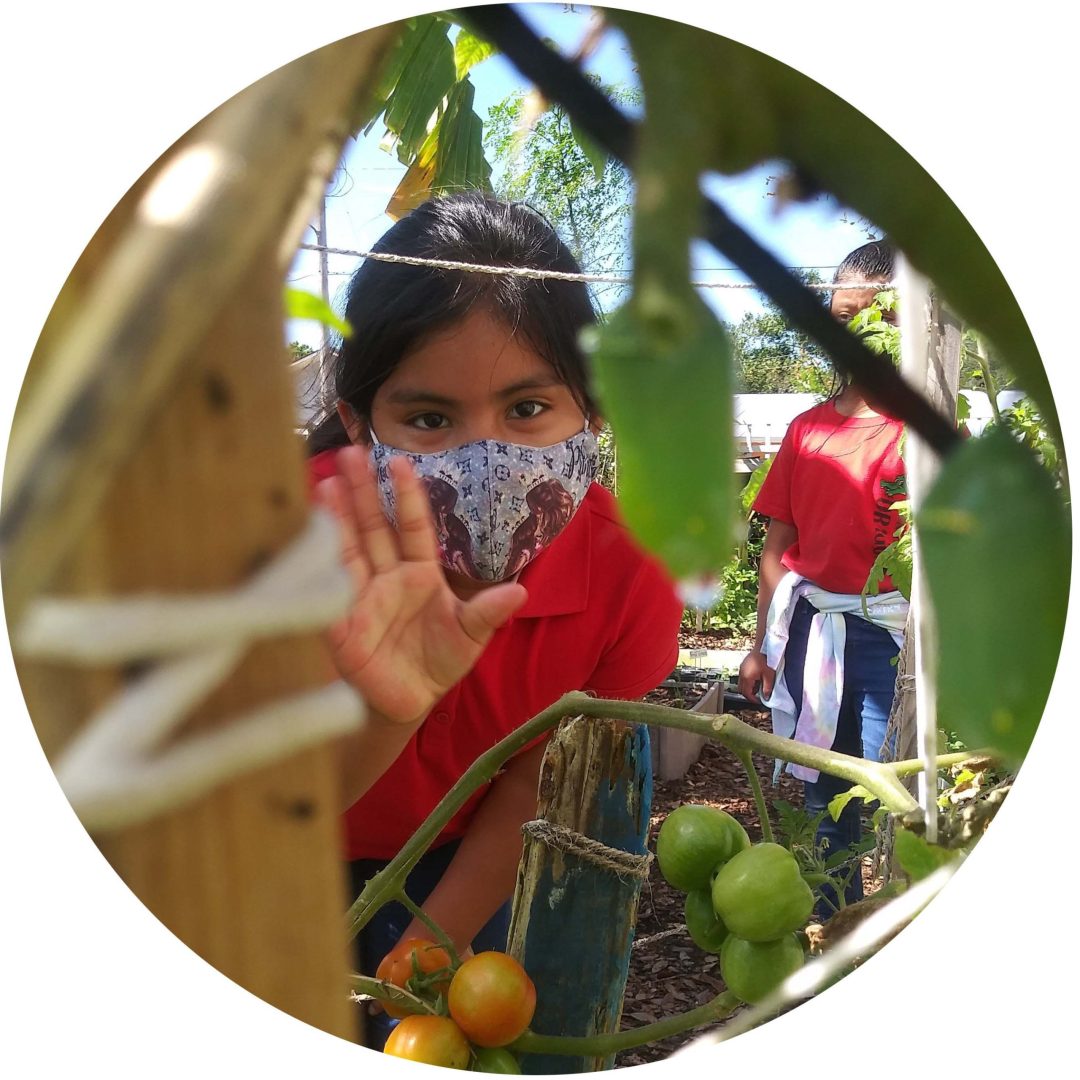 child in garden with face partially hidden by plants