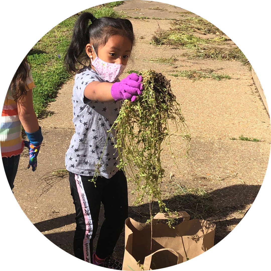 child sorting weeds into paper bag