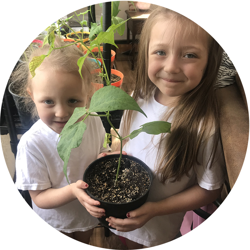 Two young children smile and hold a potted vegetable plant.