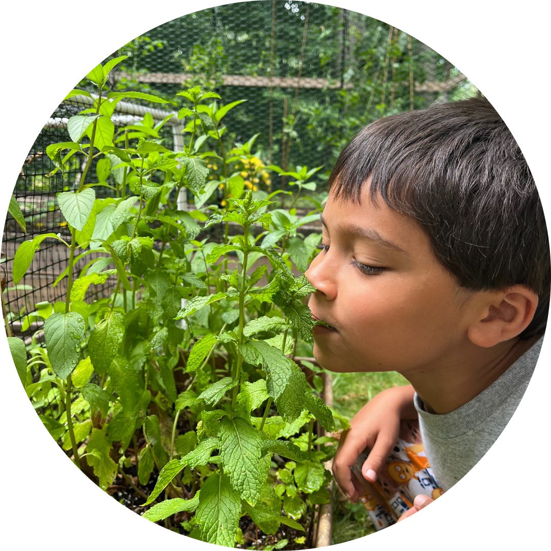 A child with short dark hair has their eyes closed and is sniffing a green plant.