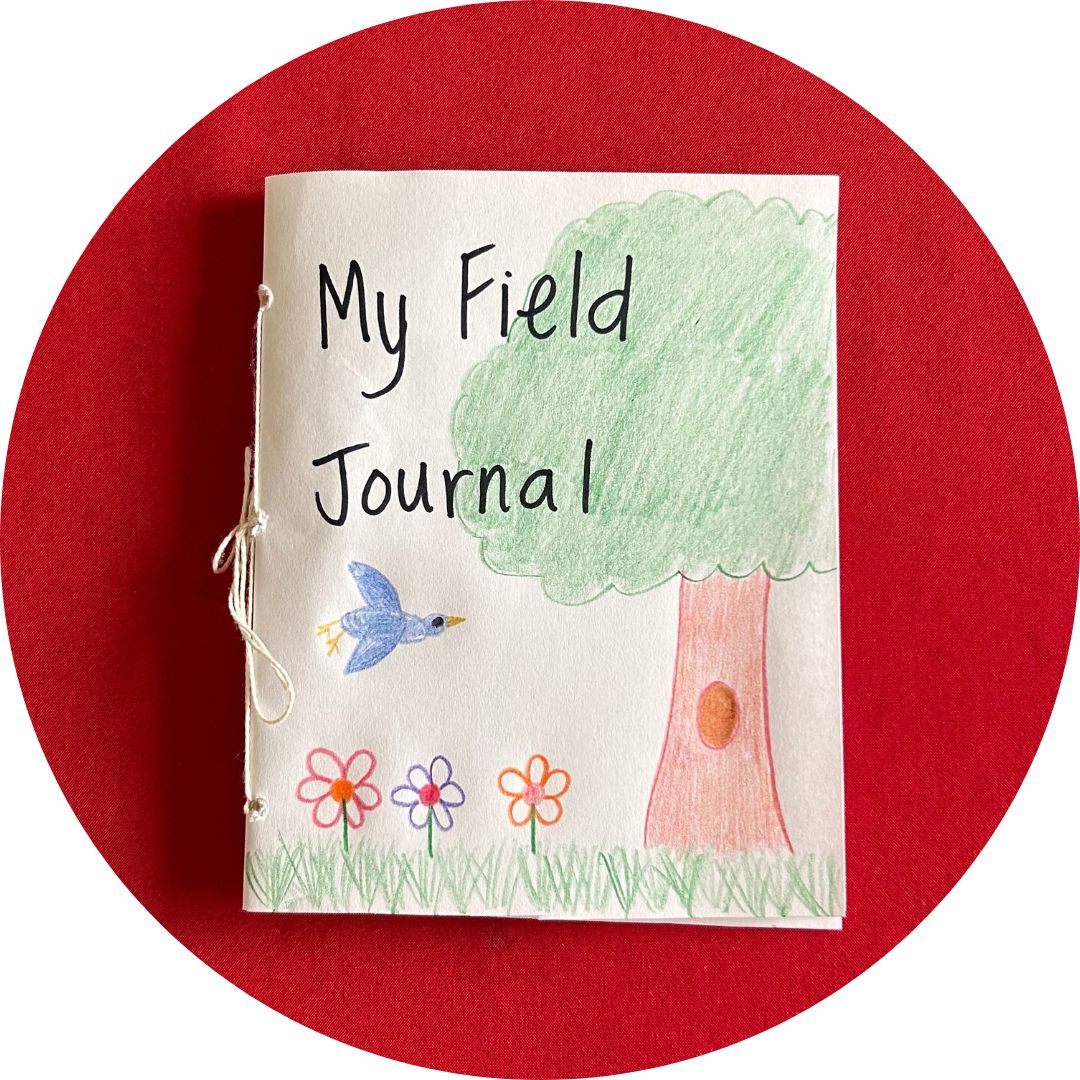 A handmade paper journal that reads My Field Journal with a drawing of a tree. The background is red.