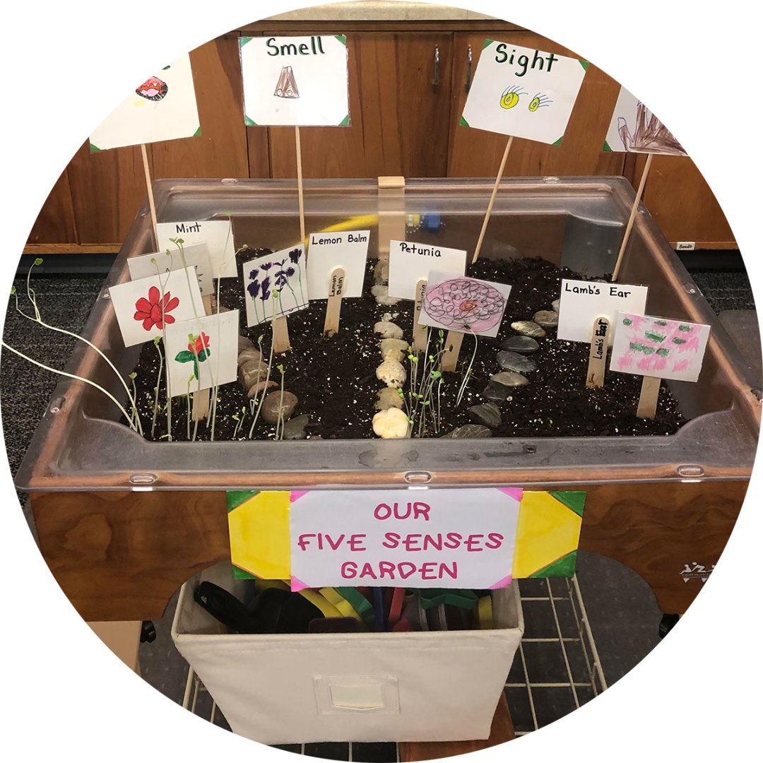 indoor five senses garden with signs for each sense