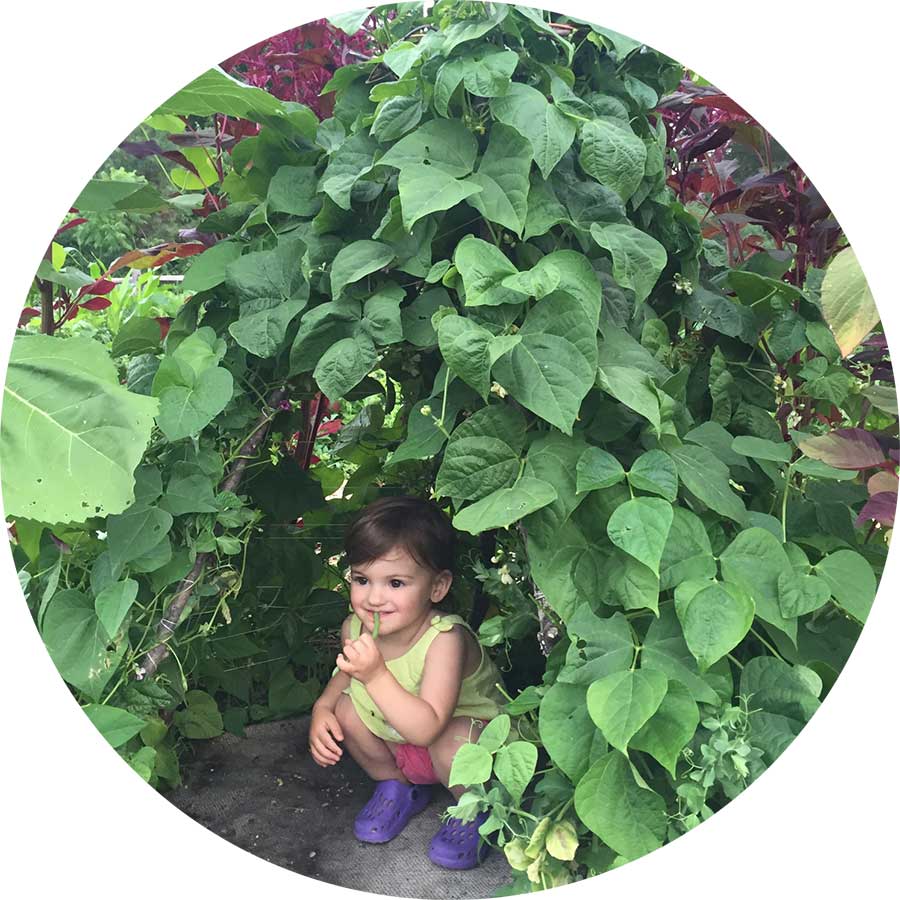 Child peering out from a bean fort