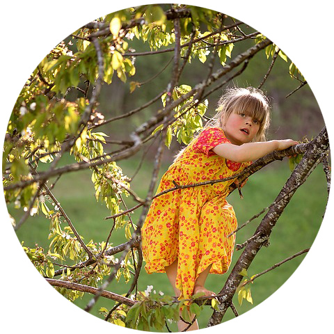 girl yellow dress sitting in tree