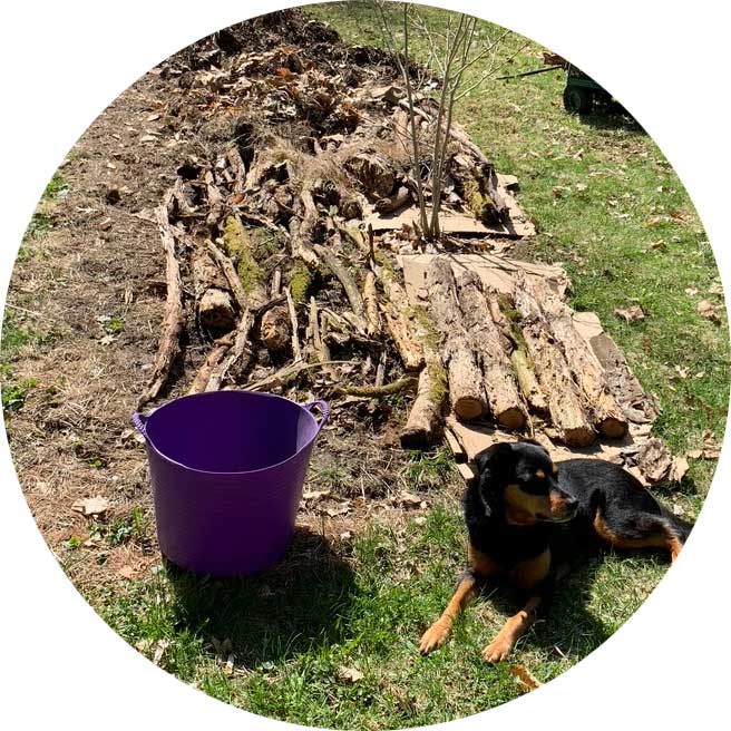 building a hugelkultur mound garden with woody layer at bottom