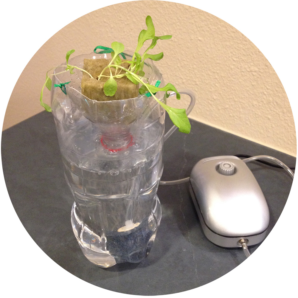 A clear soda bottle with the top cut off holds a plant growing in water. Next to the bottle is a silver piece of equipment that looks like a computer mouse