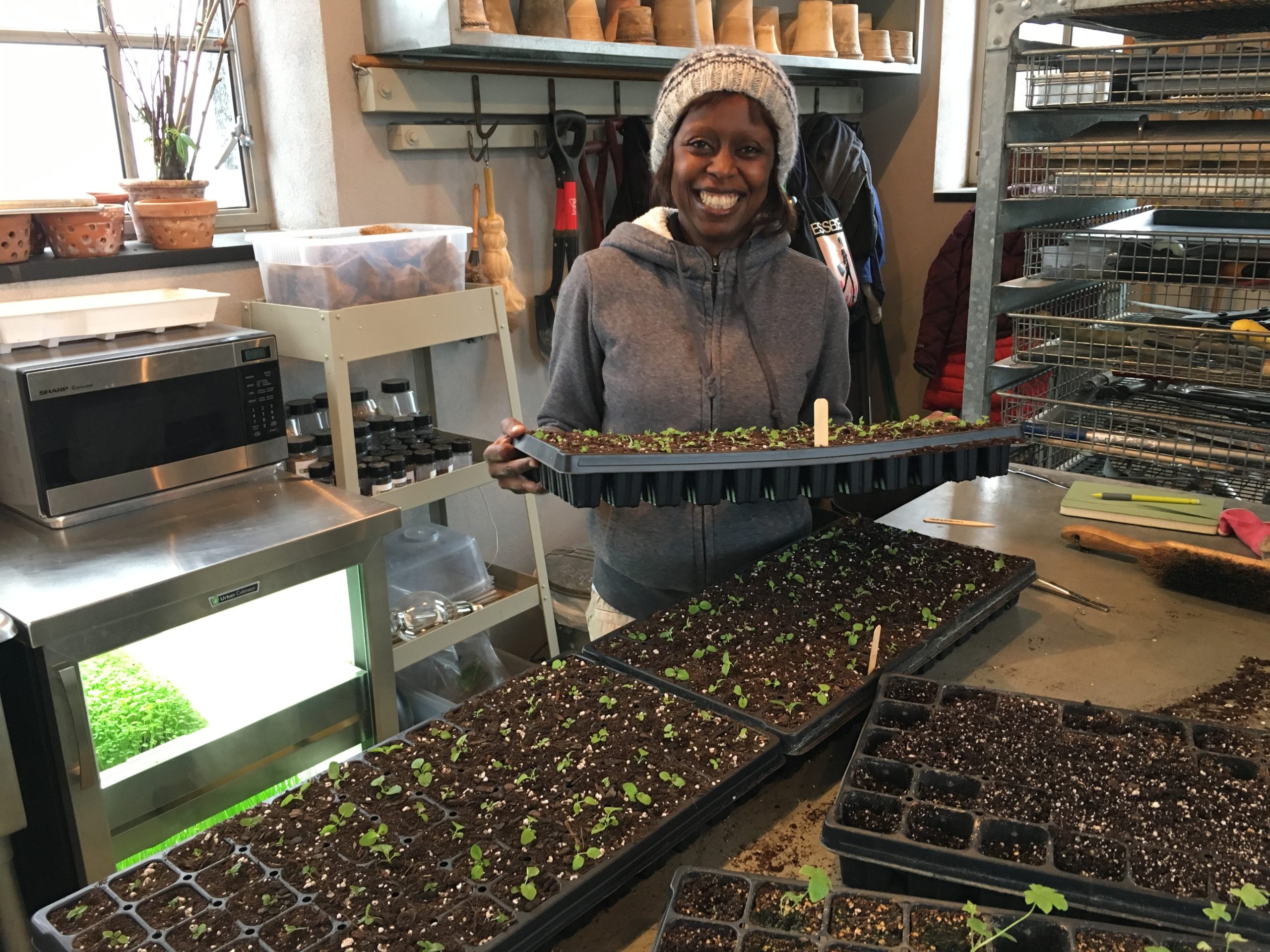 Urban Gardening In NYC with Wambui Ippolito