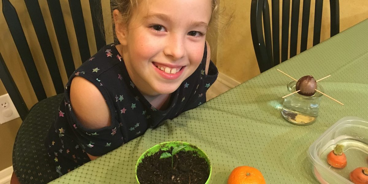 At Home Garden Activities