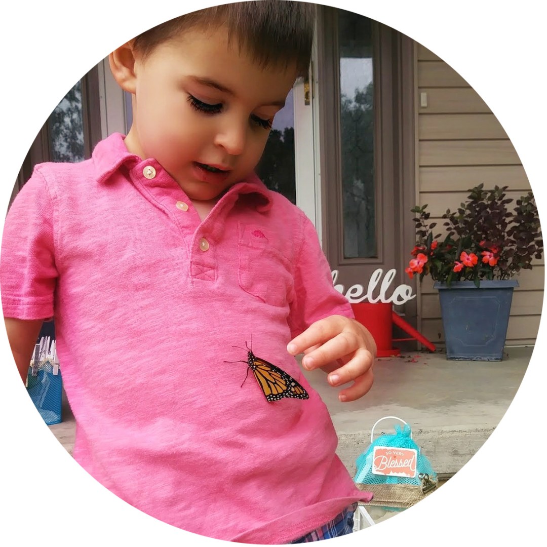 A young child in a hot pink shirt looks down at their belly, where a butterfly has landed