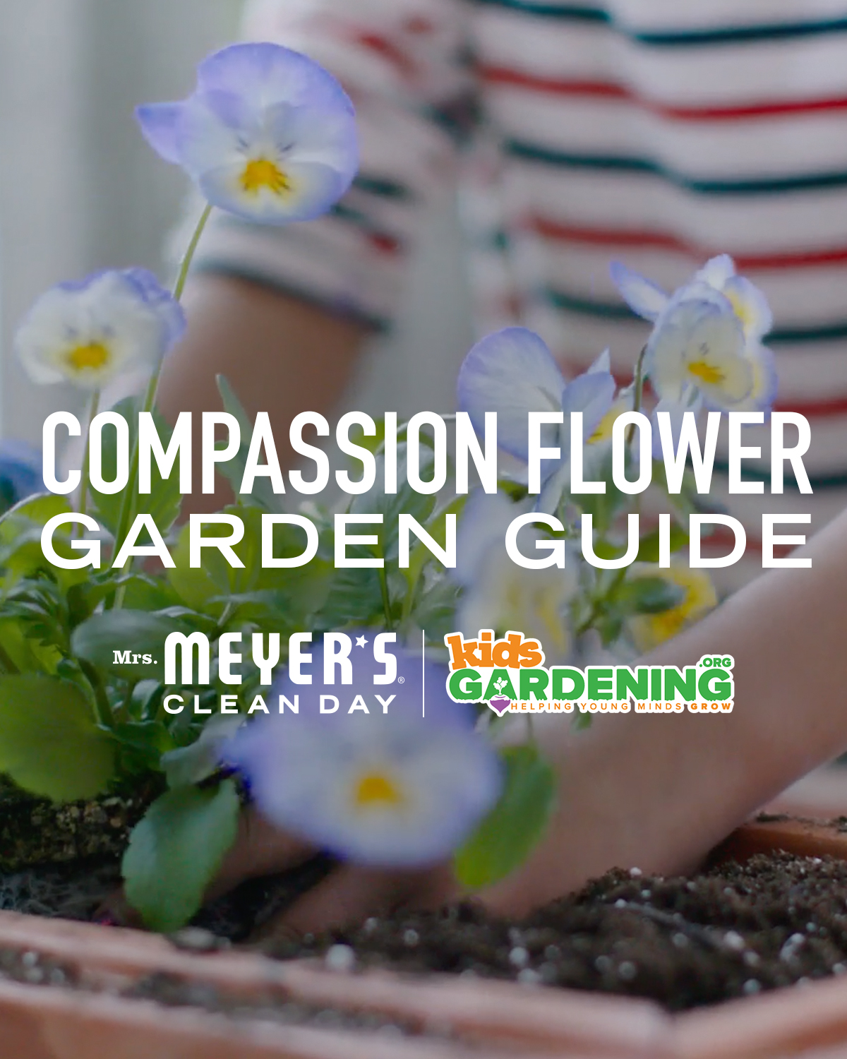 Teaching Compassion In The Garden