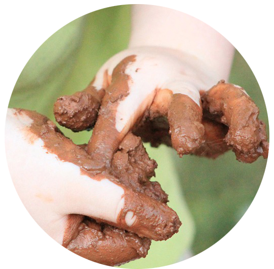 mudpie