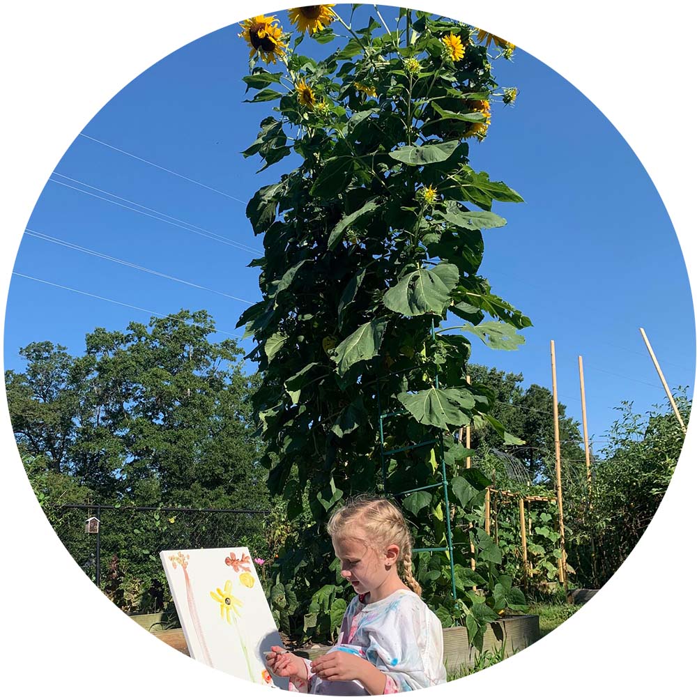 A child paints next to a tall sunflower