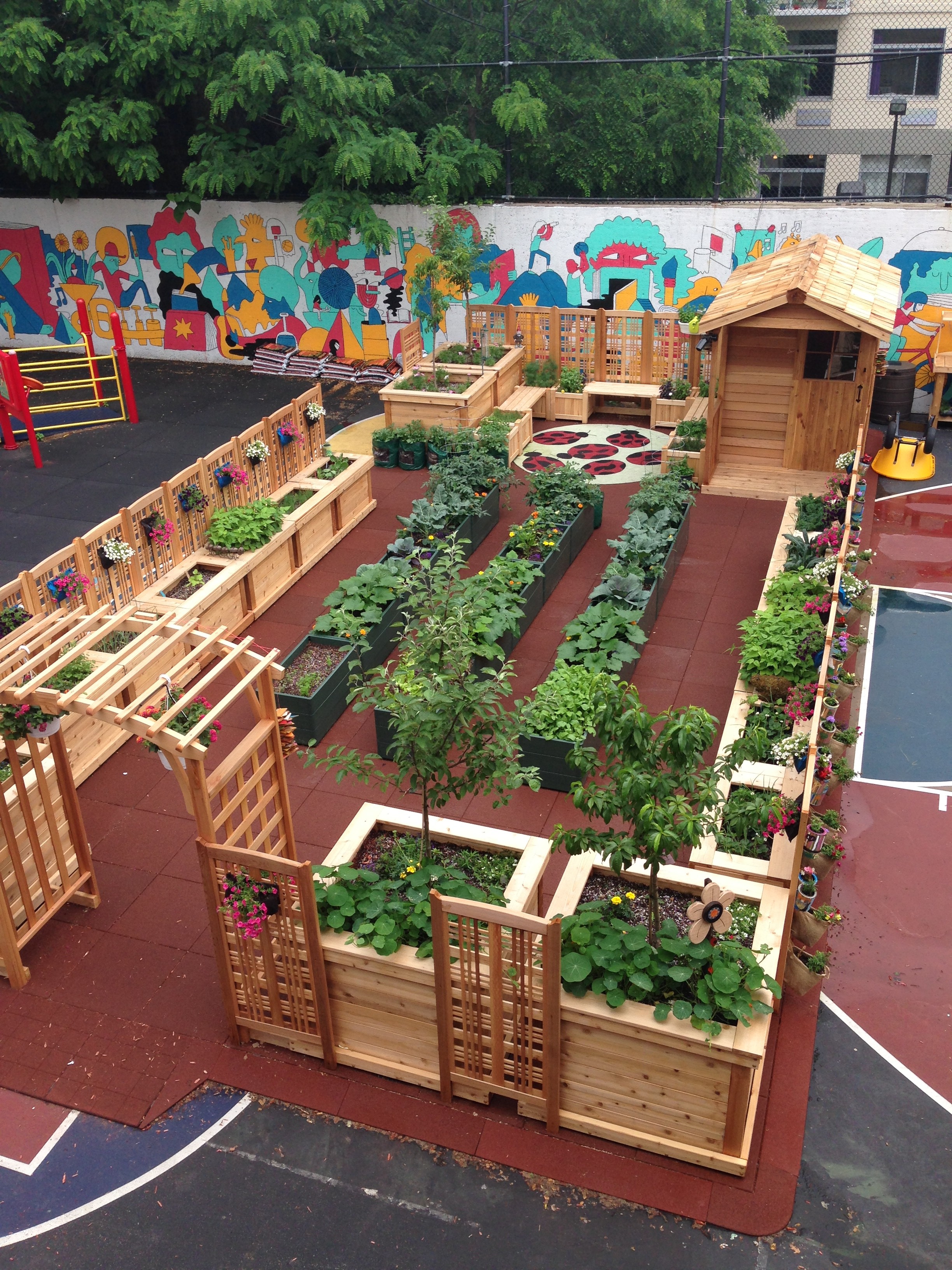 KG Program Spotlights – Carson Daly & KidsGardening Plant a Garden in Brooklyn