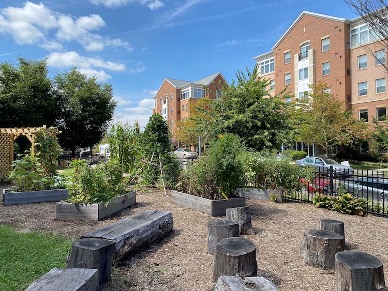 Landscape design course A school garden, with stumps in the foreground, plants in the middle ground, and the school in the background