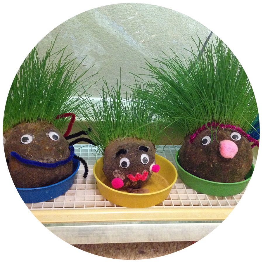 three plant people made from pantyhose with grass growing for hair and googly eyes