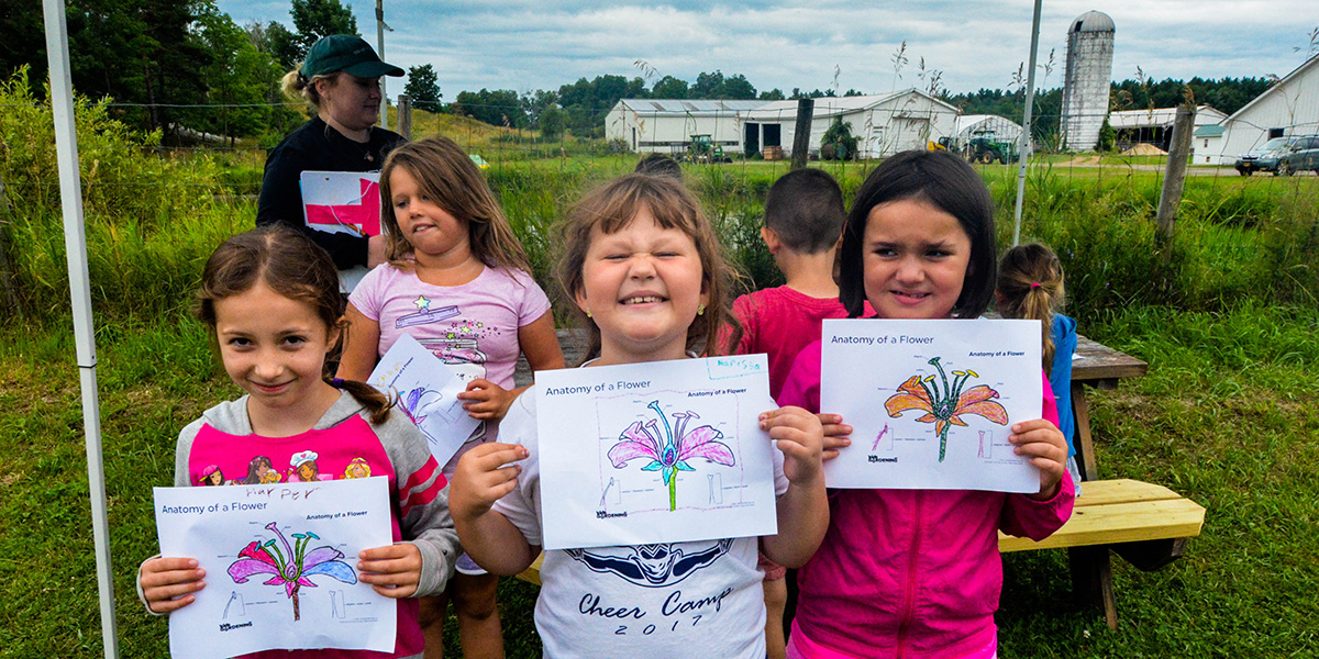 Teaching Kids to Protect Our Pollinators