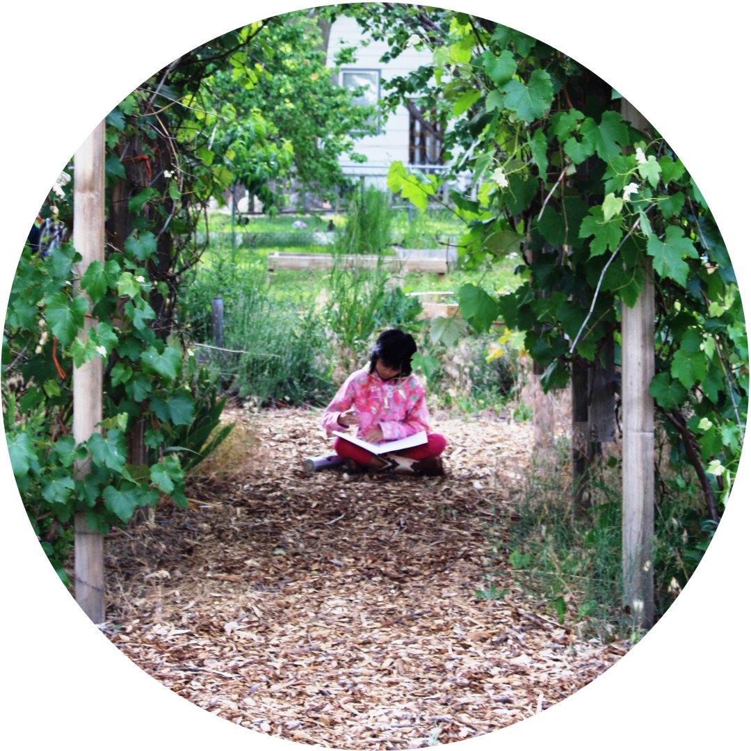 read in the garden