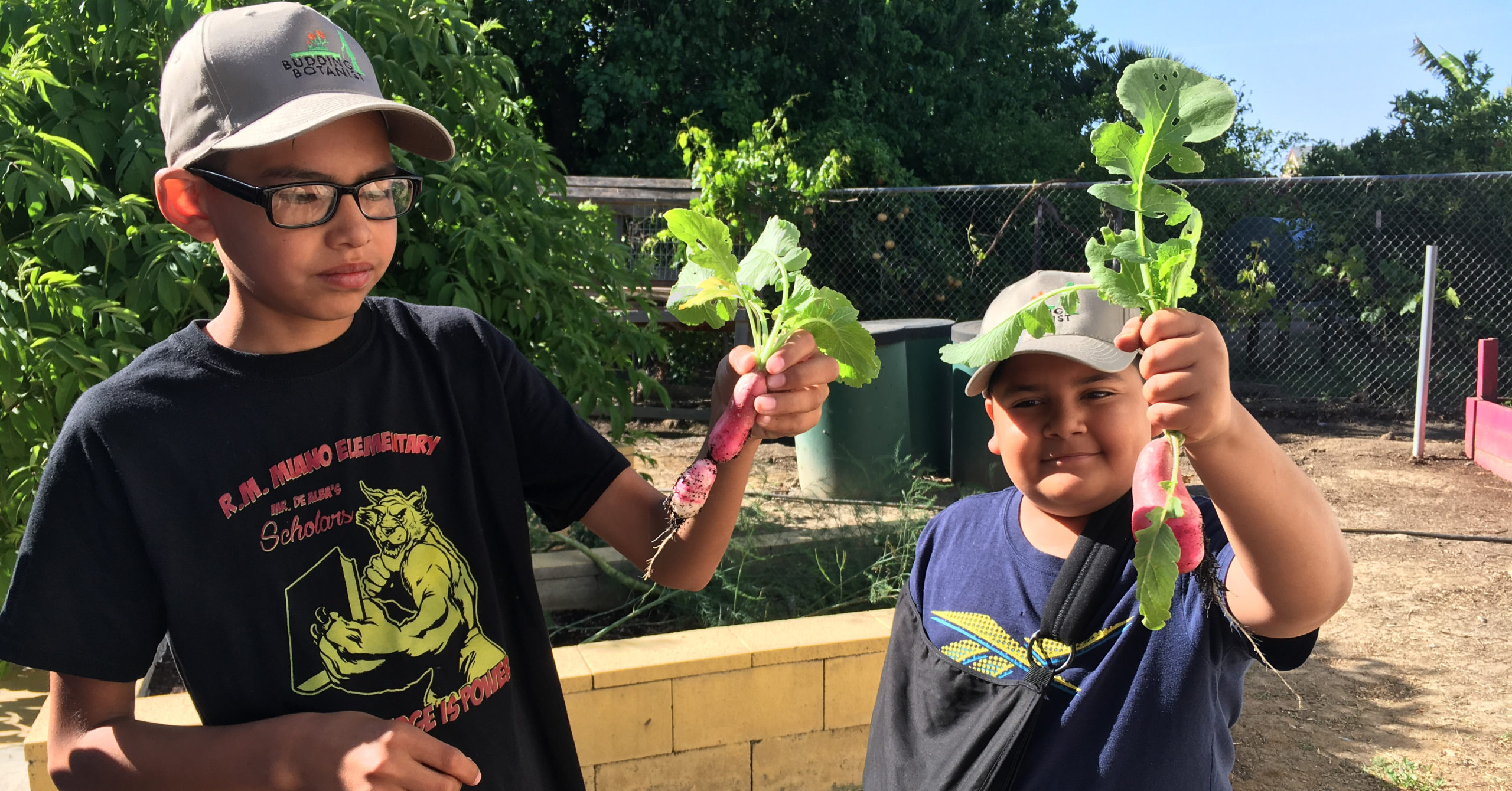 Program Spotlights – RM Miano Elementary