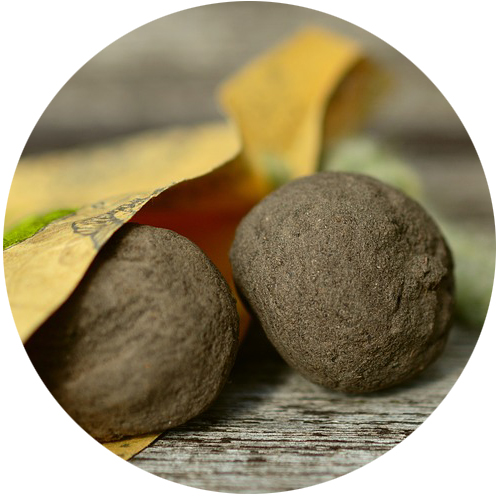 seed ball garden activity