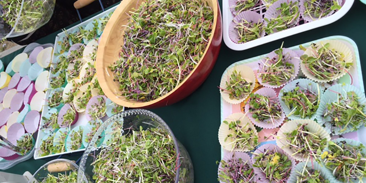 Indoor Garden-Based Activities to Get You Through the Winter