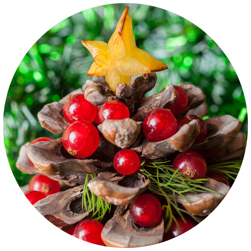 Holiday bird decoration craft made from pinecone and red berries to look like a Christmas tree
