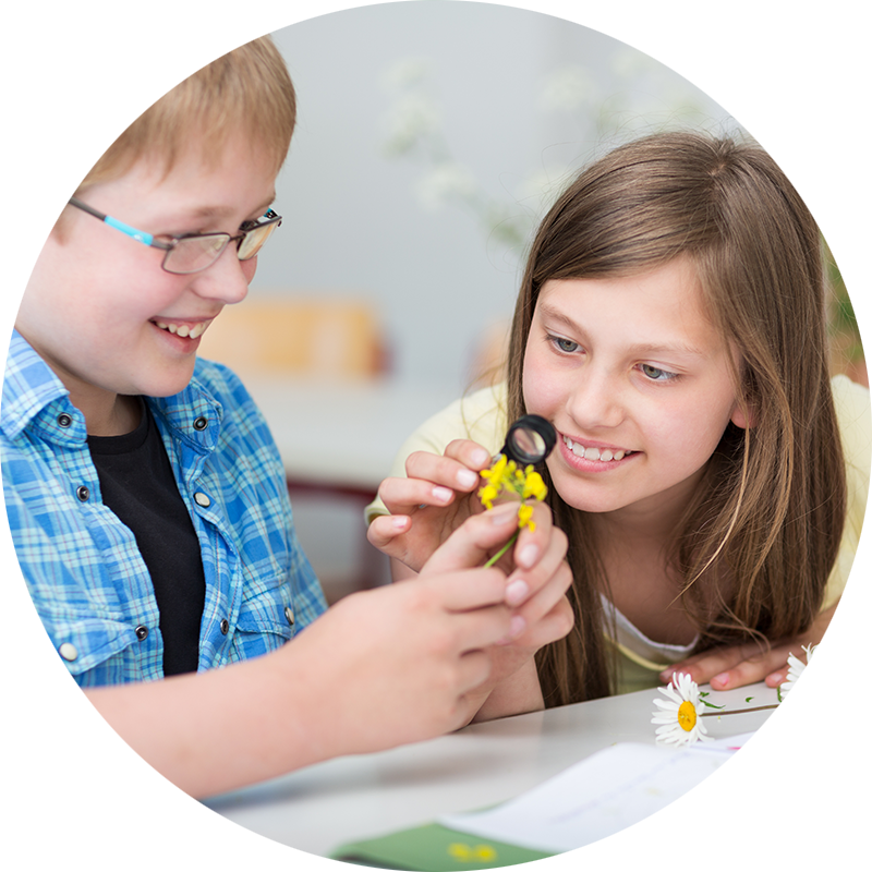 boy and girl in a classroom examining a yellow flower with a magnifying glass