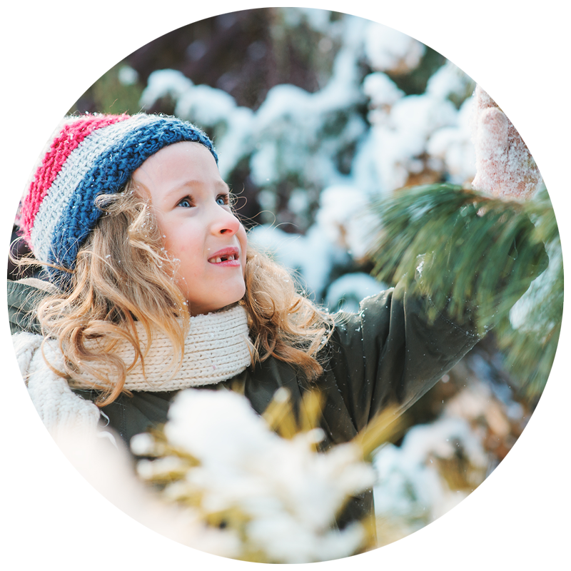 Young girl in winter hat collecting items from nature from a snow-covered evergreen tree