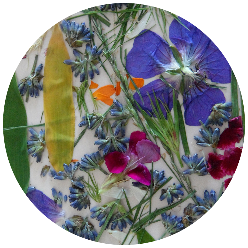assortment of pressed flowers and leaves on white paper