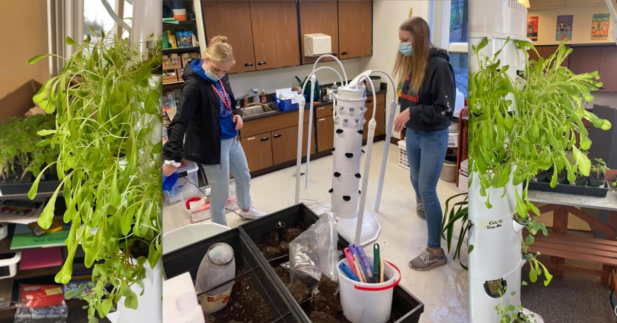 Indoor Gardening in the Dark Winter