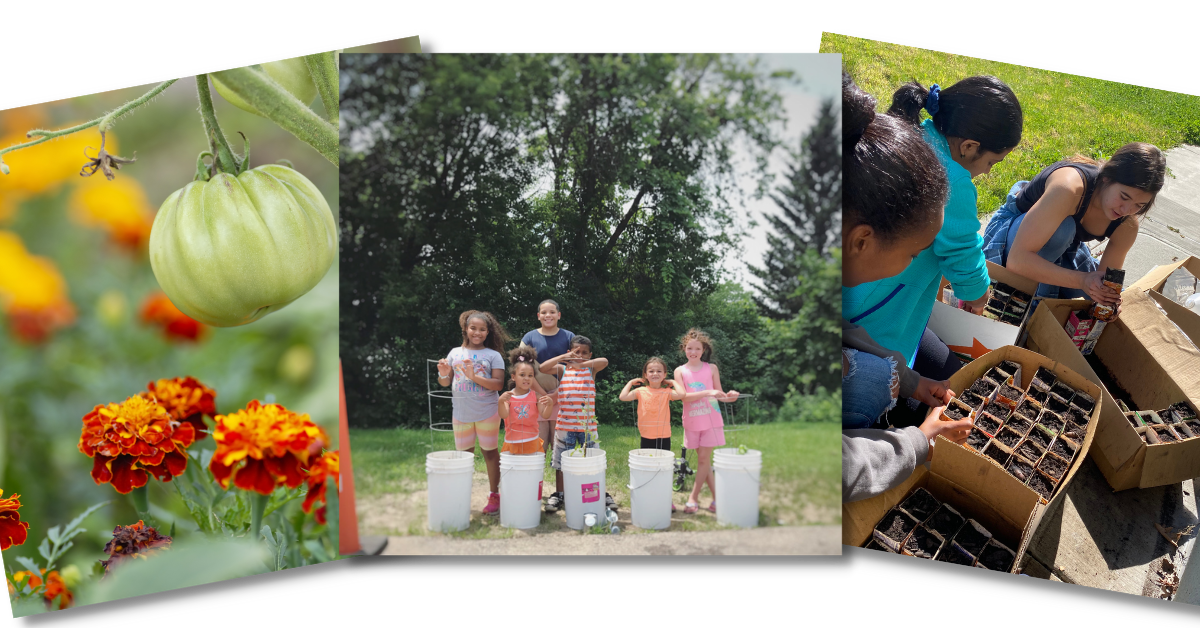 Three engaging April webinars