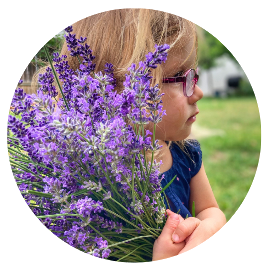 A child holds bouquet of lavender next to their head.