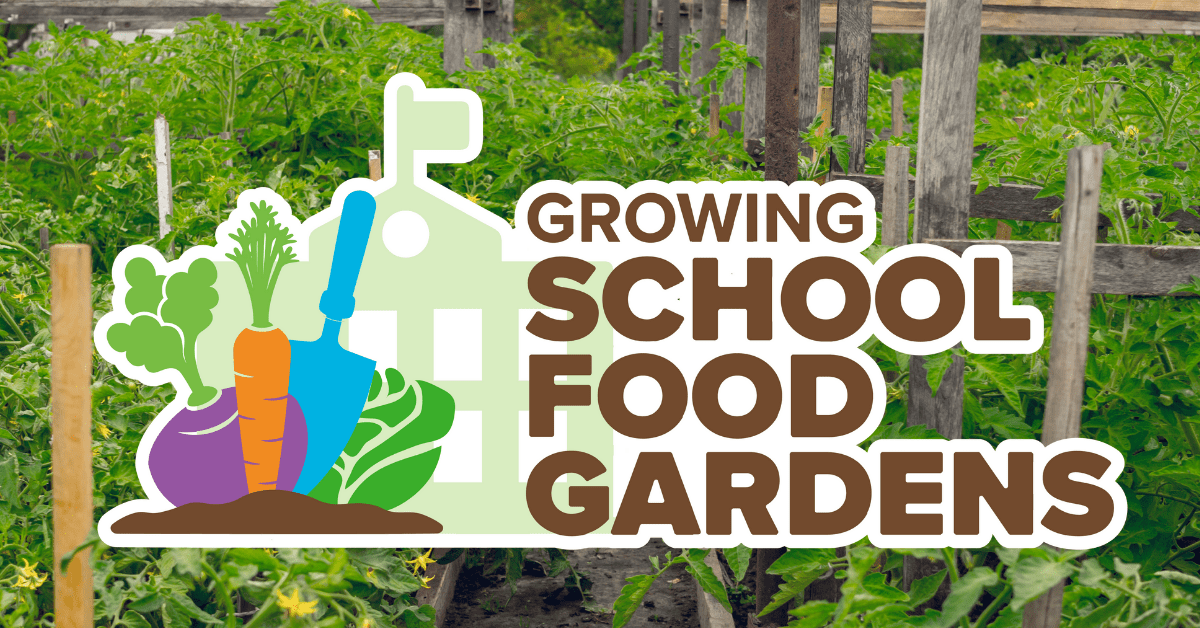 Growing School Food Gardens Project