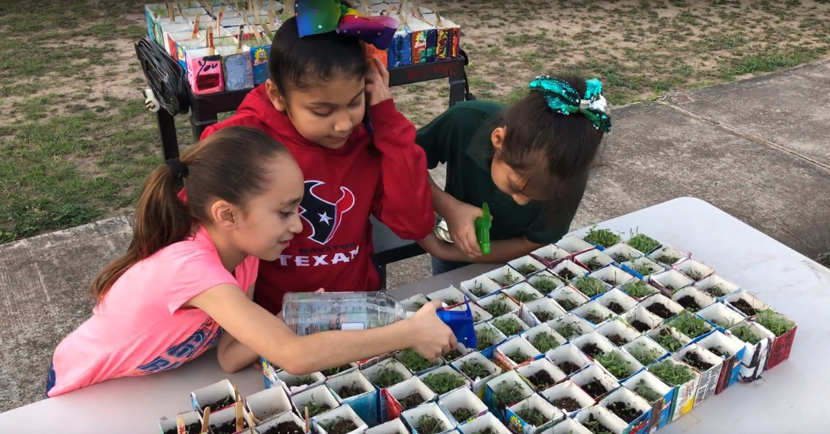 Repurposing Milk Cartons for the Garden