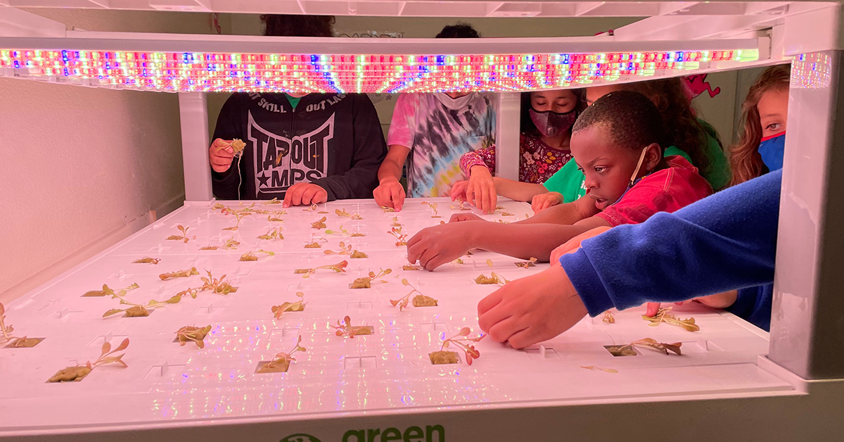 Culturally-Responsive Hydroponics