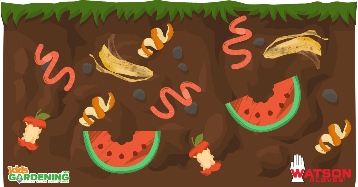 Decomposition Garden Activity Pack