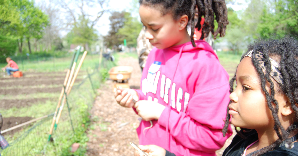 Food Warriors Program