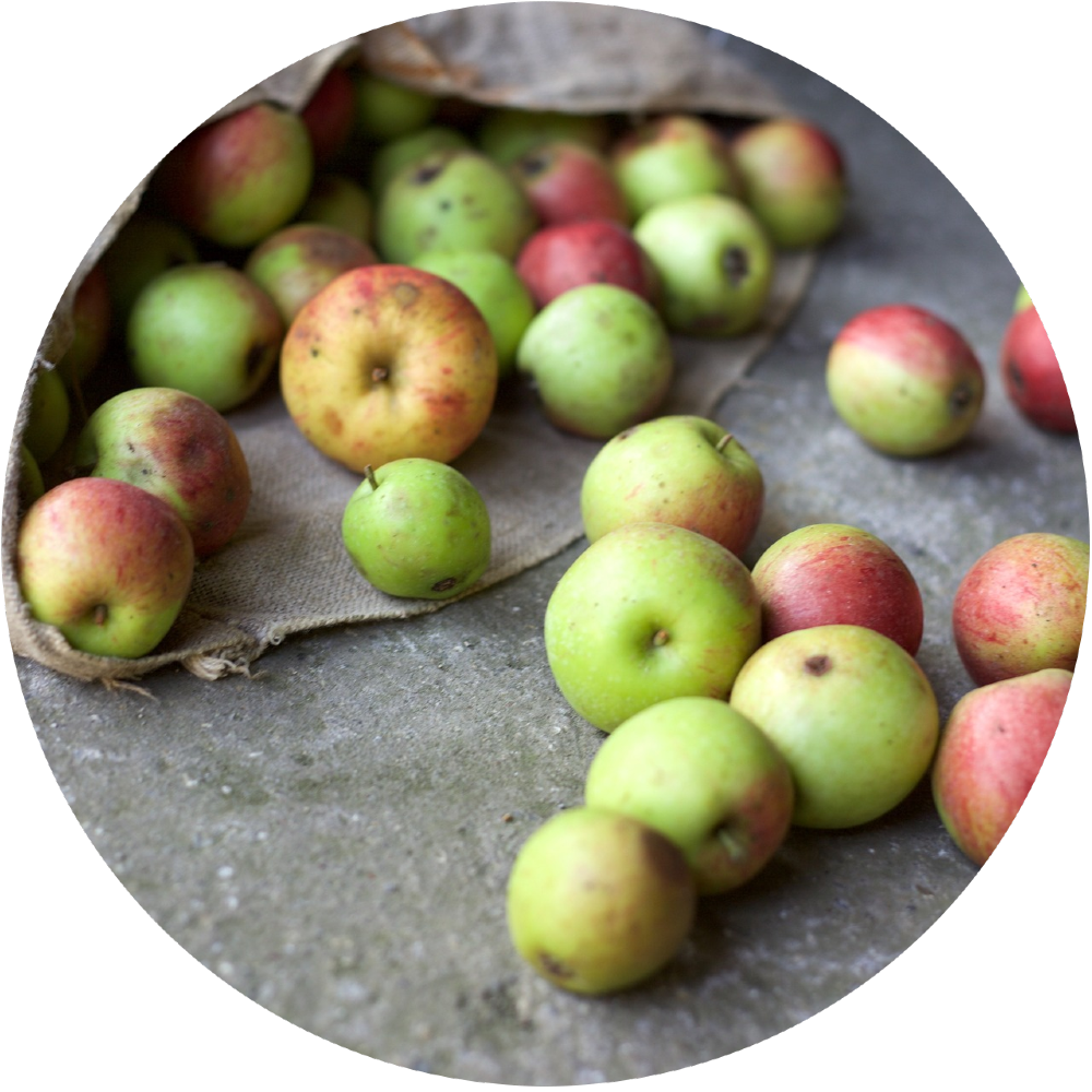 food waste