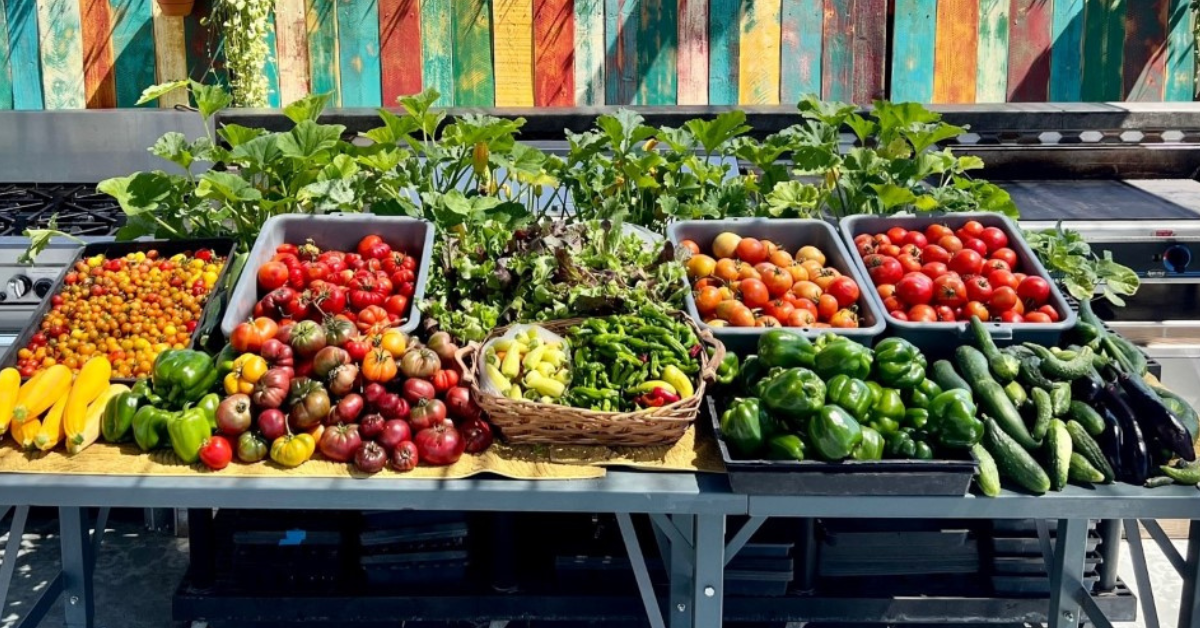Help Us Keep Kids Gardening: Urgent Support Needed