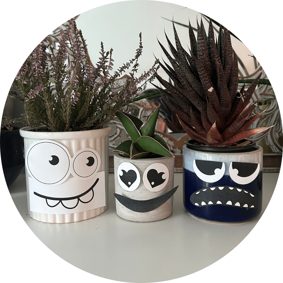 Three houseplants in pots. The pots have cut-out eyes and mouths pasted on.