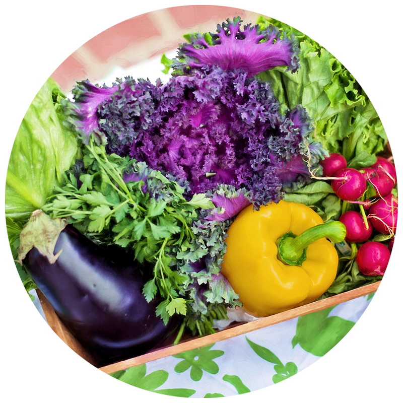 box of bright colored garden vegetables including pepper, eggplant, radishes, and lettuce