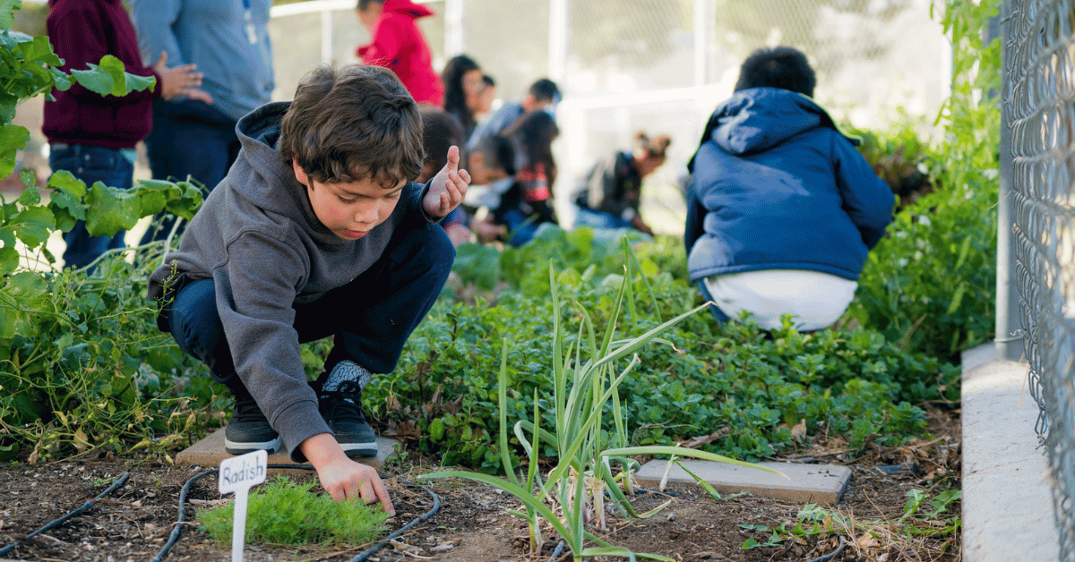 Green Our Planet Grant Programs- Now Open!