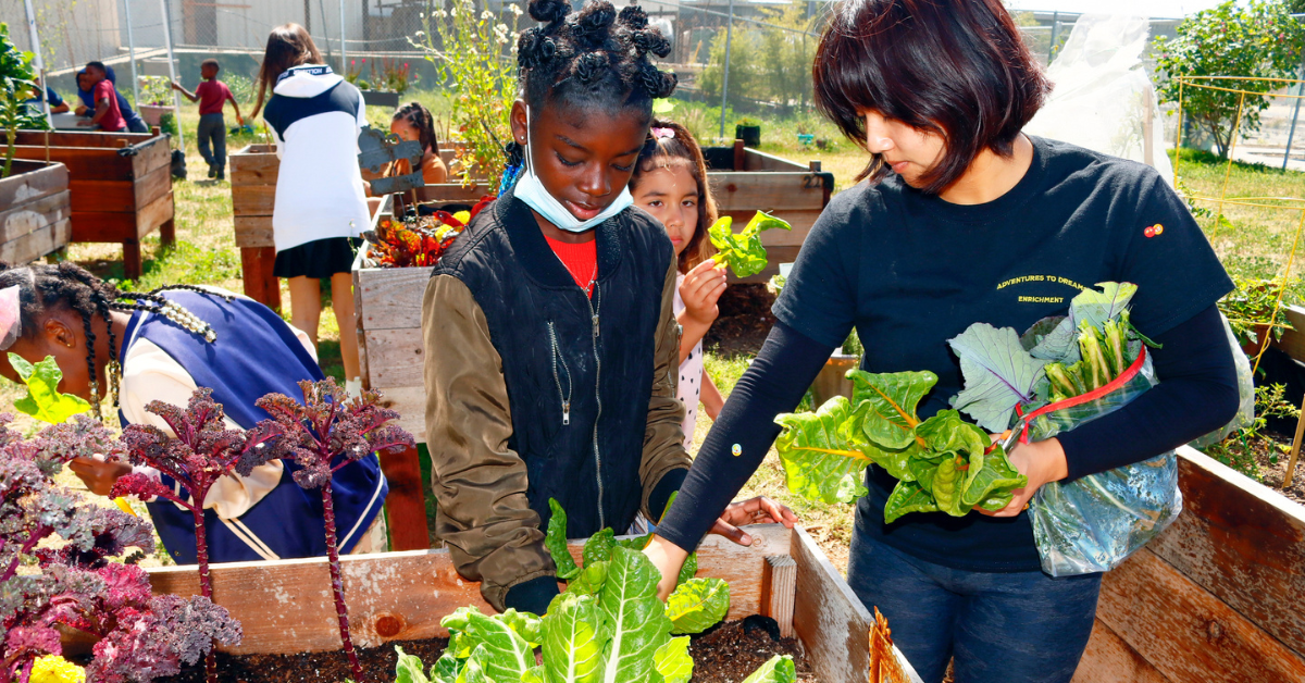 GroMoreGood Grassroots Grant 2023