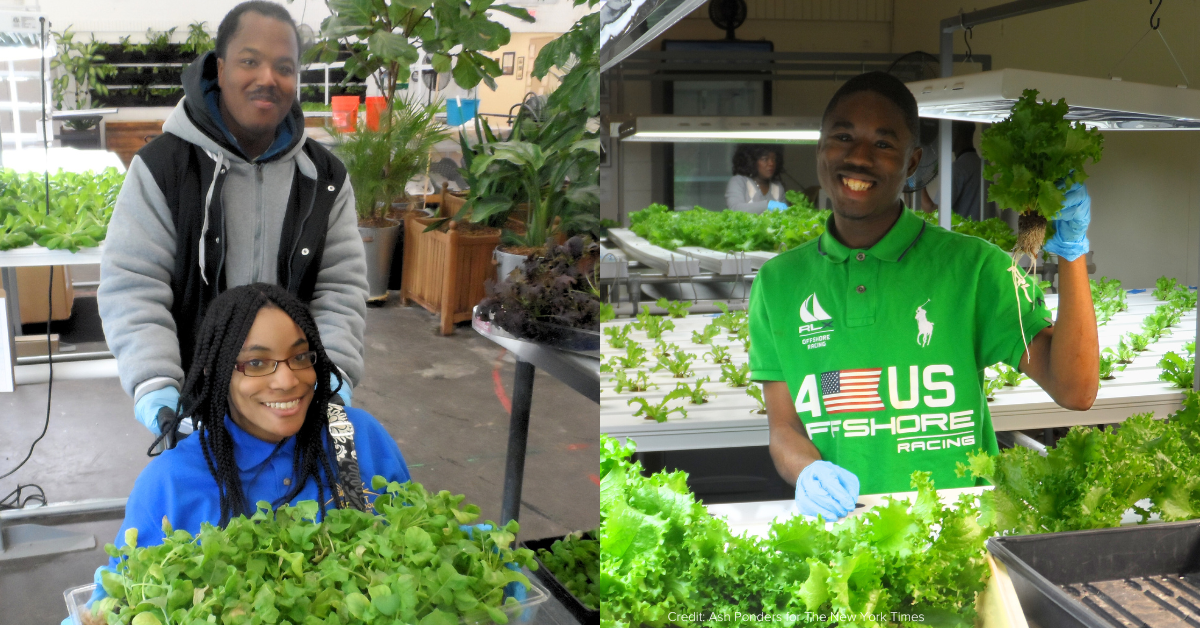 Empowering Students through Hydroponics and Horticulture