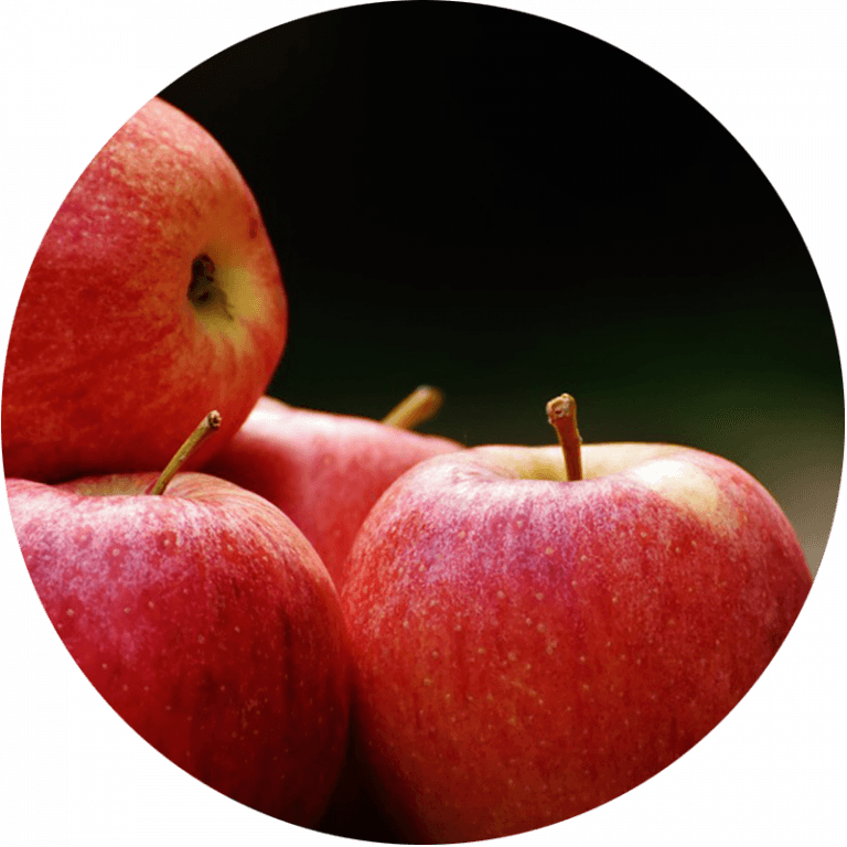 Pile of 4 picked red apples