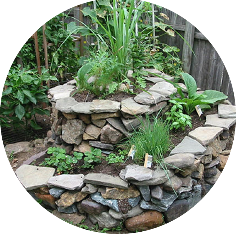 stone herb spiral with herbs growing