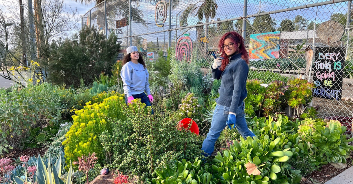 Learning and Growing in Abraxas Garden