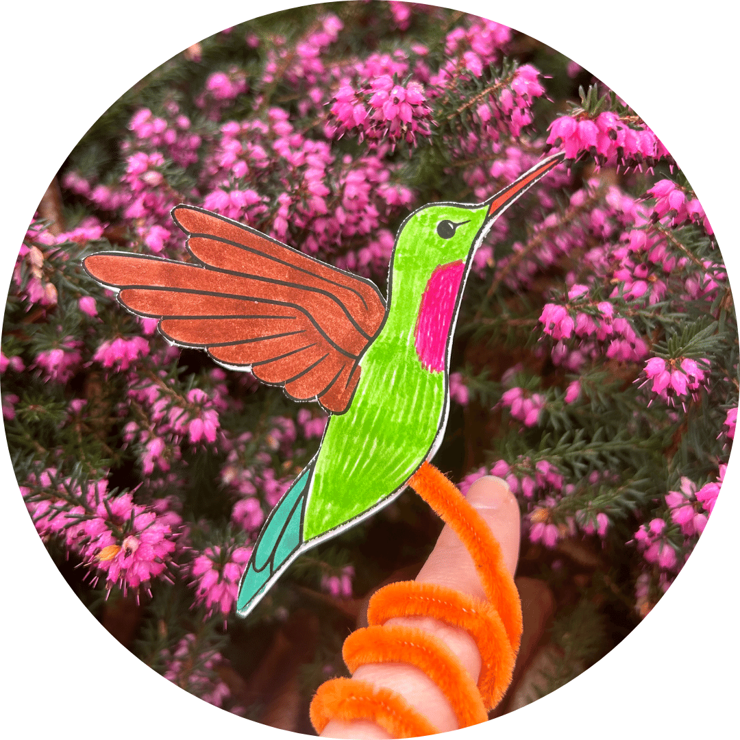 A paper hummingbird on a pipecleaner, which is twirled around a person's finger.