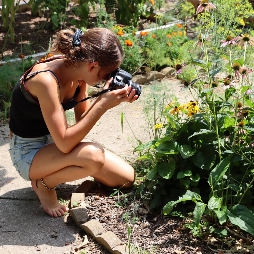 Photo Contests