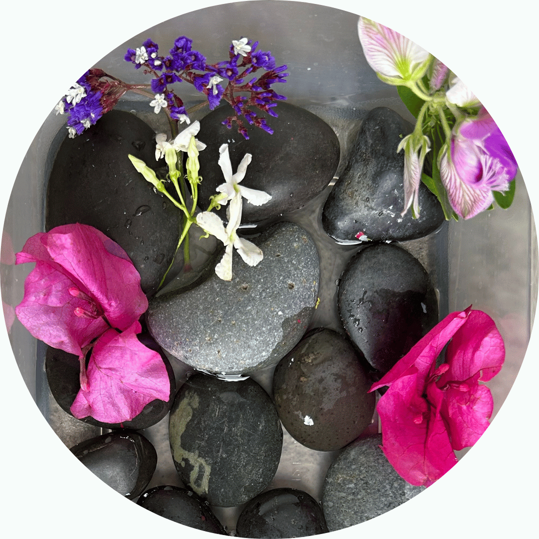Rocks and flower petals